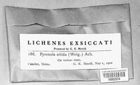 Image Associated With the Occurence